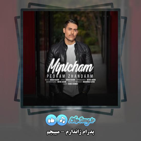 دانلود آهنگ پدرام ژاندارم میپیچم